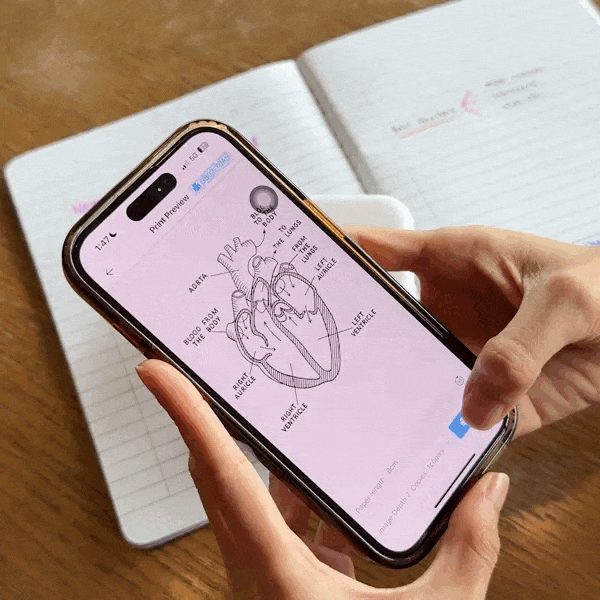 VIS Rolls™ não adesivos